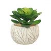https://shared1.ad-lister.co.uk/UserImages/7eb3717d-facc-4913-a2f0-28552d58320f/Img/artificialpo/Artificial-Potted-Succulent-in-round-white-pot.jpg