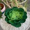 https://shared1.ad-lister.co.uk/UserImages/7eb3717d-facc-4913-a2f0-28552d58320f/Img/artificialpo/Artificial-Round-Clustered-Succulent-Plant-in-pot.jpg