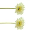 https://shared1.ad-lister.co.uk/UserImages/7eb3717d-facc-4913-a2f0-28552d58320f/Img/artificialfl/Artificial-Silk-Gerbera-Flower-Cream.jpg