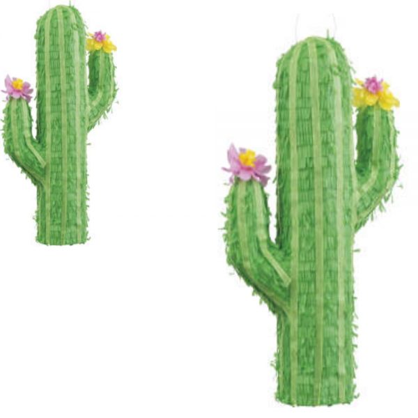 Flowered Cactus 3D Pinata