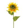 https://shared1.ad-lister.co.uk/UserImages/7eb3717d-facc-4913-a2f0-28552d58320f/Img/artificialfl/Single-Sunflower-Long-Stem-yellow.jpg
