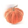 https://shared1.ad-lister.co.uk/UserImages/7eb3717d-facc-4913-a2f0-28552d58320f/Img/autumnfoliag/22cm-artificial-velvet-pumpkin-orange.jpg