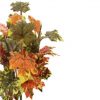 https://shared1.ad-lister.co.uk/UserImages/7eb3717d-facc-4913-a2f0-28552d58320f/Img/autumnalleav/Green-Brown-Orange-Maple-Leaf-Bush.jpg