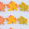 https://shared1.ad-lister.co.uk/UserImages/7eb3717d-facc-4913-a2f0-28552d58320f/Img/autumnalleav/Packet-of-9-Artificial-Maple-Leaves.jpg