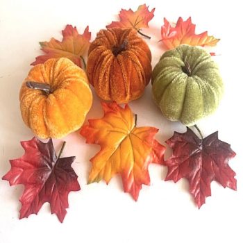 Set of 6 velvet pumpkins