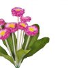 https://shared1.ad-lister.co.uk/UserImages/7eb3717d-facc-4913-a2f0-28552d58320f/Img/artificialfl/Artificial-Flower-Bellis-Daisy-Purple.jpg