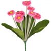 https://shared1.ad-lister.co.uk/UserImages/7eb3717d-facc-4913-a2f0-28552d58320f/Img/artificialfl/Bellis-Daisy-Flower-pink.jpg