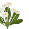 https://shared1.ad-lister.co.uk/UserImages/7eb3717d-facc-4913-a2f0-28552d58320f/Img/artificialfl/Bellis-White-Daisy-Artificial-Plant.jpg