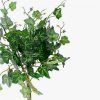 https://shared1.ad-lister.co.uk/UserImages/7eb3717d-facc-4913-a2f0-28552d58320f/Img/artificialfo/Green-Leaf-Ivy-Bundle-Artificial-Plant.jpg