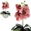 https://shared1.ad-lister.co.uk/UserImages/7eb3717d-facc-4913-a2f0-28552d58320f/Img/artificialpo/Artificial-Jaguar-Pink-Phalaenopsis-Orchid-in-Pot.jpg
