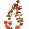 https://shared1.ad-lister.co.uk/UserImages/7eb3717d-facc-4913-a2f0-28552d58320f/Img/artificialga/Autumn-Burnt-Orange-Grape-Leaf-Ivy-Garland.jpg