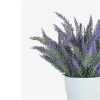 https://shared1.ad-lister.co.uk/UserImages/7eb3717d-facc-4913-a2f0-28552d58320f/Img/artificialpo/Purple-Heather-PLant-in-white-pot.jpg