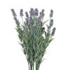 https://shared1.ad-lister.co.uk/UserImages/7eb3717d-facc-4913-a2f0-28552d58320f/Img/artificialfl/Tall-Artificial-Lavender-Bunch-78cm.jpg