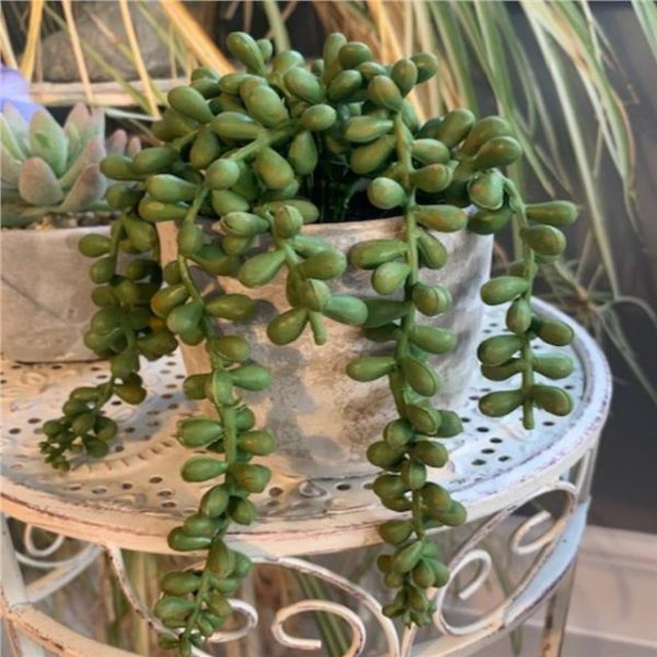 Artificial String of Pearls Plant