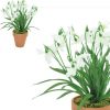 https://shared1.ad-lister.co.uk/UserImages/7eb3717d-facc-4913-a2f0-28552d58320f/Img/artificialpo/Potted-Artificial-Silk-Snowdrop-Plant.jpg