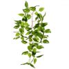 https://shared1.ad-lister.co.uk/UserImages/7eb3717d-facc-4913-a2f0-28552d58320f/Img/artificialfo/60cm-Trailing-Pothos-Plant-Green.jpg
