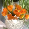 https://shared1.ad-lister.co.uk/UserImages/7eb3717d-facc-4913-a2f0-28552d58320f/Img/artificialfl/Artificial-Flower-orange-Crocus-Bush.jpg