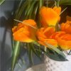 https://shared1.ad-lister.co.uk/UserImages/7eb3717d-facc-4913-a2f0-28552d58320f/Img/artificialfl/Crocus-Flower-Bush-Orange.jpg