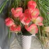 https://shared1.ad-lister.co.uk/UserImages/7eb3717d-facc-4913-a2f0-28552d58320f/Img/artificialfl/Crocus-Pink-Silk-Flower-Bush.jpg