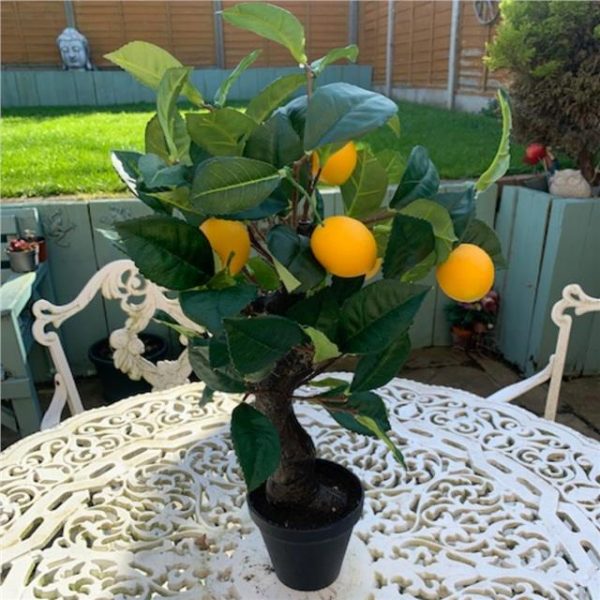 Artificial Lemon Fruit Tree in Pot