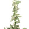 https://shared1.ad-lister.co.uk/UserImages/7eb3717d-facc-4913-a2f0-28552d58320f/Img/artificialga/Lambs-Ear-Leaf-Artificial-Garland.jpg