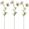 https://shared1.ad-lister.co.uk/UserImages/7eb3717d-facc-4913-a2f0-28552d58320f/Img/artificialfl/Artificial-Flower-Country-Poppy-White.jpg