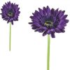 https://shared1.ad-lister.co.uk/UserImages/7eb3717d-facc-4913-a2f0-28552d58320f/Img/artificialfl/Artificial-Gerbera-Flower-Purple.jpg