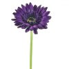 https://shared1.ad-lister.co.uk/UserImages/7eb3717d-facc-4913-a2f0-28552d58320f/Img/artificialfl/Purple-Gerbera-Flower.jpg