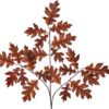 https://shared1.ad-lister.co.uk/UserImages/7eb3717d-facc-4913-a2f0-28552d58320f/Img/autumnfoliag/Red-Orange-Oak-Leaf-Spray-68cm.jpg