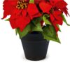 https://shared1.ad-lister.co.uk/UserImages/7eb3717d-facc-4913-a2f0-28552d58320f/Img/christmas_new/premier_christmas/40cm-Artificial-Potted-Red-Poinsettia.jpg