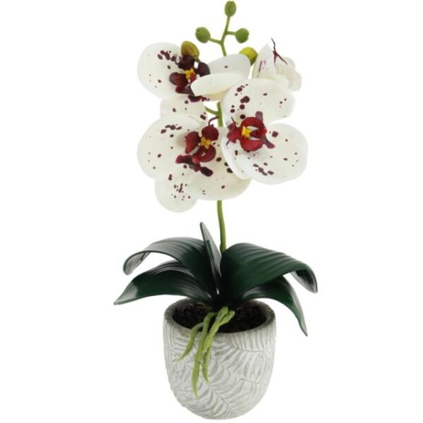 Artificial Potted White Orchid with Burgundy Spots