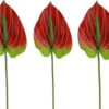 https://shared1.ad-lister.co.uk/UserImages/7eb3717d-facc-4913-a2f0-28552d58320f/Img/artificialfl/Artificial-Flower-Anthurium-Stem-Red.jpg