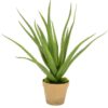 https://shared1.ad-lister.co.uk/UserImages/7eb3717d-facc-4913-a2f0-28552d58320f/Img/artificialpo/46cm-Artificial-Aloe-Plant-in-Pot.jpg