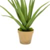 https://shared1.ad-lister.co.uk/UserImages/7eb3717d-facc-4913-a2f0-28552d58320f/Img/artificialpo/Potted-Artificial-Aloe-Plant-in-Pot-46cm.jpg