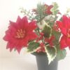 https://shared1.ad-lister.co.uk/UserImages/7eb3717d-facc-4913-a2f0-28552d58320f/Img/memorialpots/Red-Poinsettia-Grave-Pot.jpg