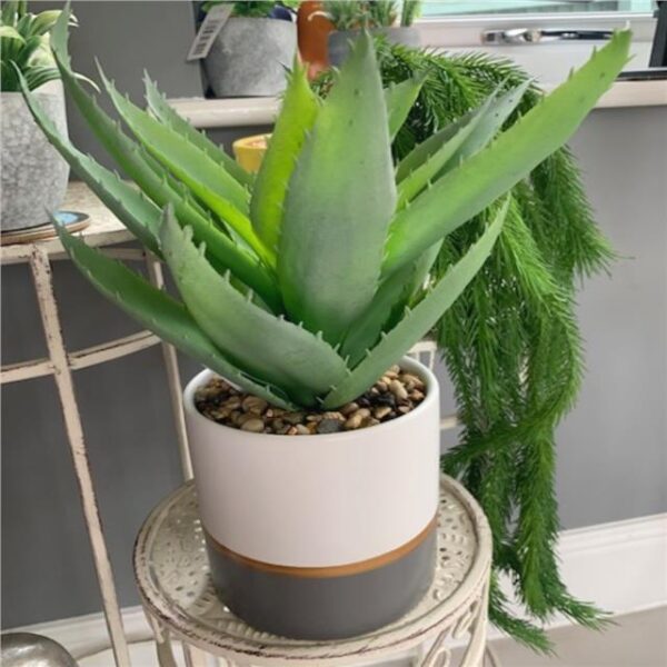 Artificial Agave Potted Succulent Plant in White and Grey Pot