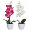 https://shared1.ad-lister.co.uk/UserImages/7eb3717d-facc-4913-a2f0-28552d58320f/Img/artificialpo/Artificial-Pink-Orchid-in-White-Pot.jpg