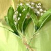 https://shared1.ad-lister.co.uk/UserImages/7eb3717d-facc-4913-a2f0-28552d58320f/Img/artificialfl/3-Stems-of-Lily-of-the-Valley.jpg