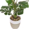 https://shared1.ad-lister.co.uk/UserImages/7eb3717d-facc-4913-a2f0-28552d58320f/Img/artificialpo/28cm-Artificial-Plant-in-Stylish-Pot.jpg
