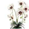 https://shared1.ad-lister.co.uk/UserImages/7eb3717d-facc-4913-a2f0-28552d58320f/Img/artificialpo/Double-Orchid-Plant-in-rustic-pot.jpg