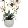 https://shared1.ad-lister.co.uk/UserImages/7eb3717d-facc-4913-a2f0-28552d58320f/Img/artificialpo/Faux-Orchid-Plant-in-rustic-Round-Pot.jpg