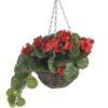 https://shared1.ad-lister.co.uk/UserImages/7eb3717d-facc-4913-a2f0-28552d58320f/Img/artificialfl/Geranium-Hanging-Basket-Red.jpg