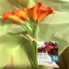 https://shared1.ad-lister.co.uk/UserImages/7eb3717d-facc-4913-a2f0-28552d58320f/Img/artificialfl/Real-Touch-Faux-Calla-Lily-Bundle-Orange.jpg