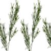 https://shared1.ad-lister.co.uk/UserImages/7eb3717d-facc-4913-a2f0-28552d58320f/Img/artificialhe/50cm-Artificial-Rosemary-Spray-Green.jpg