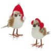 https://shared1.ad-lister.co.uk/UserImages/7eb3717d-facc-4913-a2f0-28552d58320f/Img/christmas_new/17cm-Brown-Red-Robin-with-Hat-and-Earmuffs.jpg