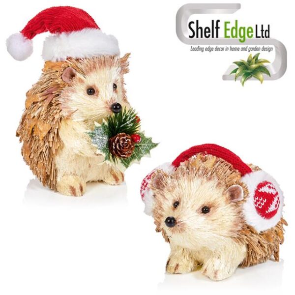 Set of 2 Bristle Hedgehog Christmas Decorations